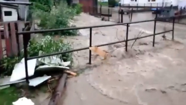 444524_untitled 1 1 676x362.jpg