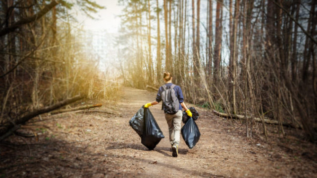 444559_adobestock_201067800 676x451.jpeg