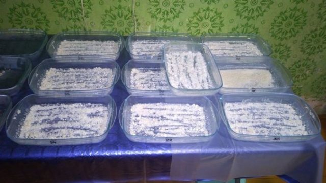 444606_zaistene drogy naka 676x507.jpg