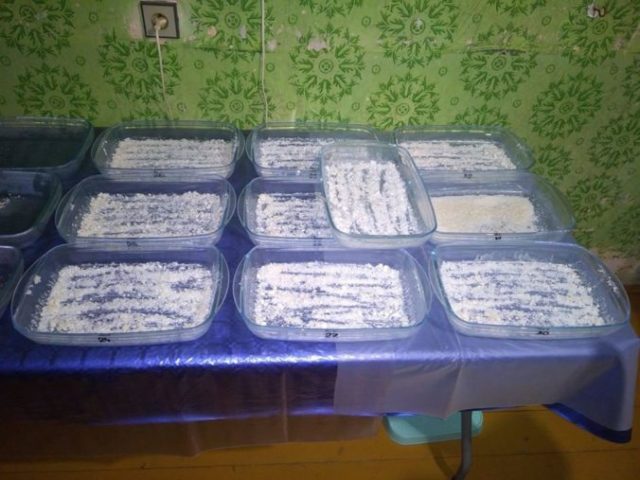 444606_zaistene drogy naka 676x507.jpg