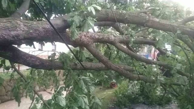 445200_116601469_2622388701209664_6198221887607059784_o 676x507.jpg