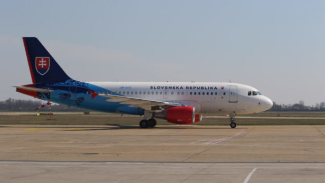 445245_img_3014 2 676x451.jpg