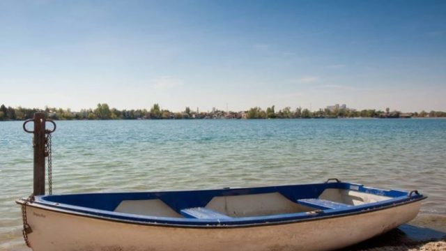 445405_senecke 676x676.jpg