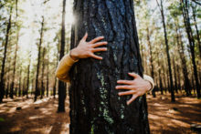 445407_gettyimages 1252647015 676x451.jpg