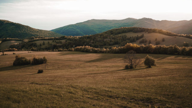 445462_mat02802 1 676x452.jpg