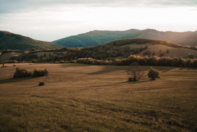 445462_mat02802 1 676x452.jpg