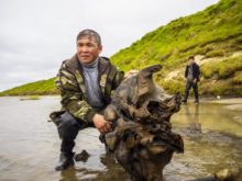 445559_russia_mammoth_14422 54c0e661c79546289b50672d9ade99a6 676x507.jpg