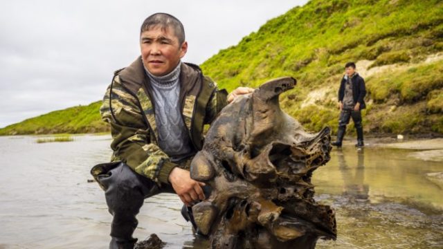 445559_russia_mammoth_14422 54c0e661c79546289b50672d9ade99a6 676x507.jpg