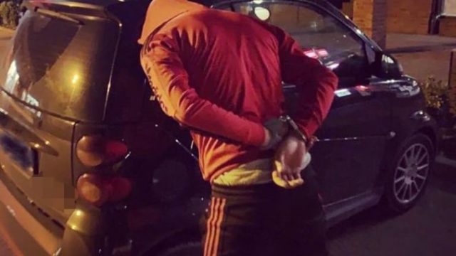 445761_diler 676x481.jpg