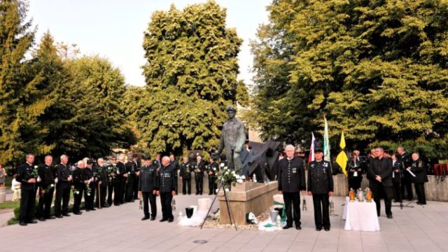 445890_den bielych ruzi 676x451.jpg