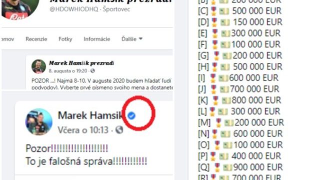 445938_hamsik 676x507.jpg