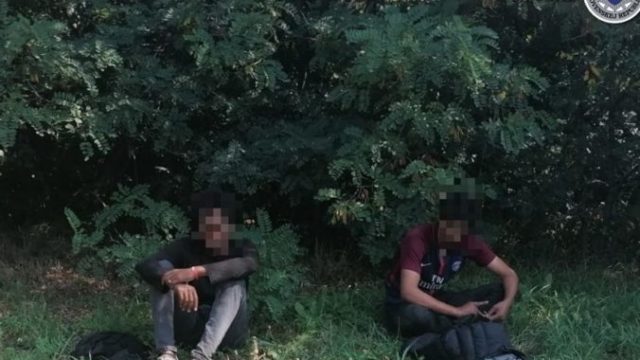 446051_117533306_988759994879864_8419950026500672477_n 676x485.jpg