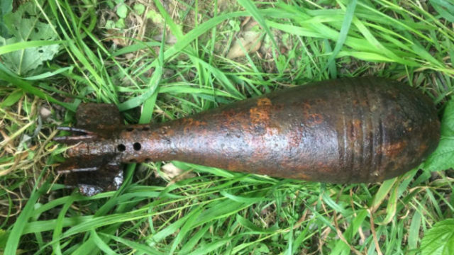 446393_000001 676x497.jpg