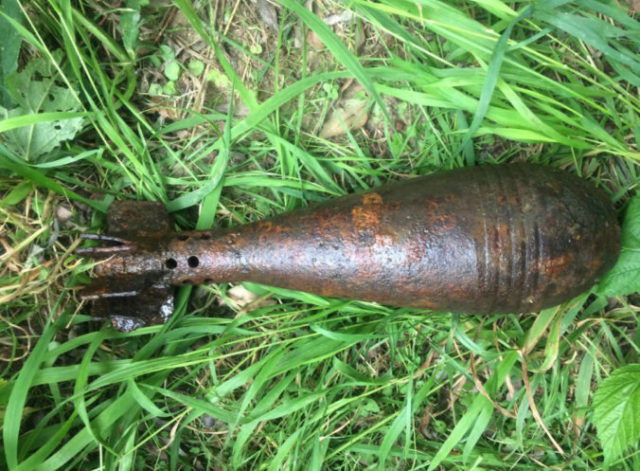 446393_000001 676x497.jpg