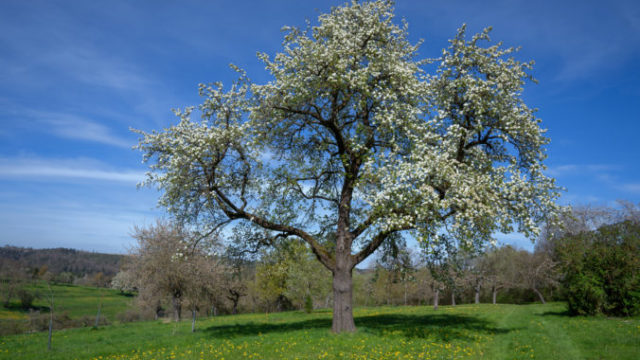 446432_gettyimages 1220907246 676x451.jpg