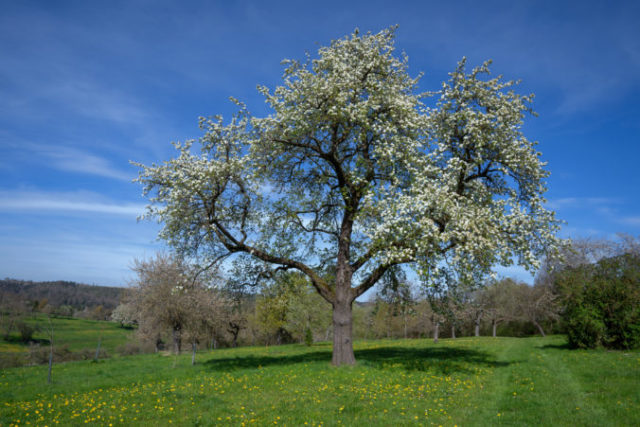 446432_gettyimages 1220907246 676x451.jpg