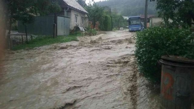 446490_03 676x492.jpg