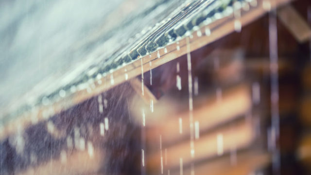 446525_gettyimages 958539138 676x451.jpg