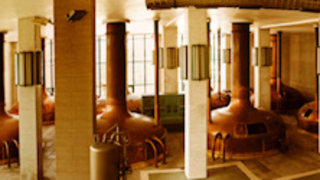 446581_pivovar hurbanovo.jpg