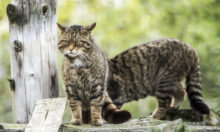 446726_gettyimages 1267582068 676x406.jpg