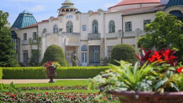 446744_irma 676x451.jpg