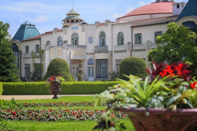 446744_irma 676x451.jpg