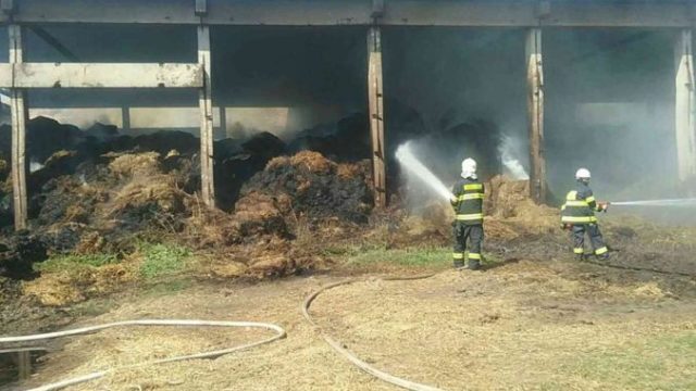 447131_118585036_2709917972456736_4126802803821321564_n 676x507.jpg