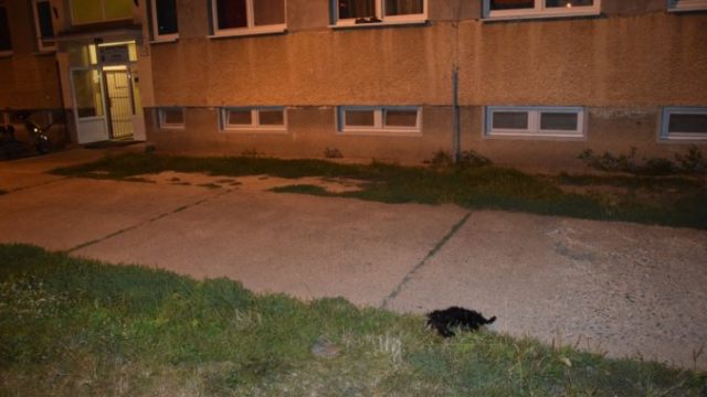 447233_118668346_689290785002240_7488857418529821484_o 676x451.jpg