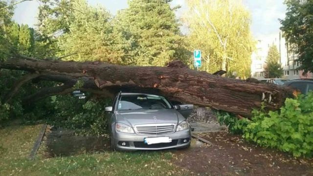 447322_118617608_2715681155213751_8062274408886691192_n 676x507.jpg