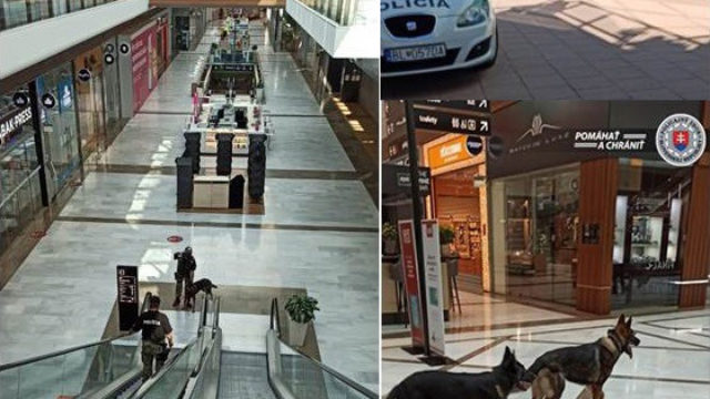 447338_untitled 1.jpg