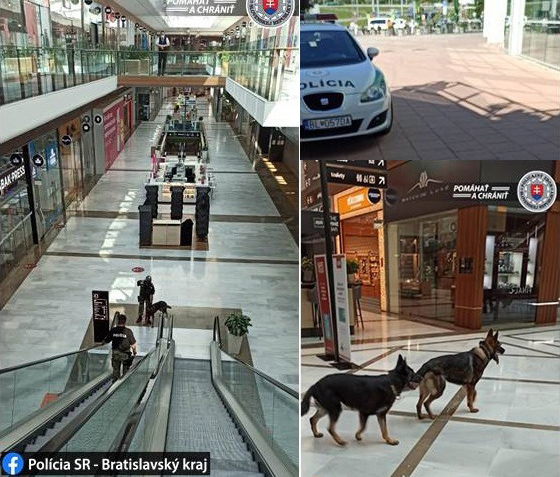 447338_untitled 1.jpg