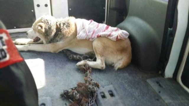 447342_pes 5 676x380.jpg