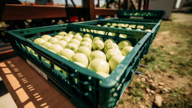 447430_ms11811 676x451.jpg