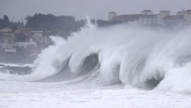 447542_south_korea_typhoon_95923 6c4218314a184abcaea3d18d66ac7b90 676x385.jpg