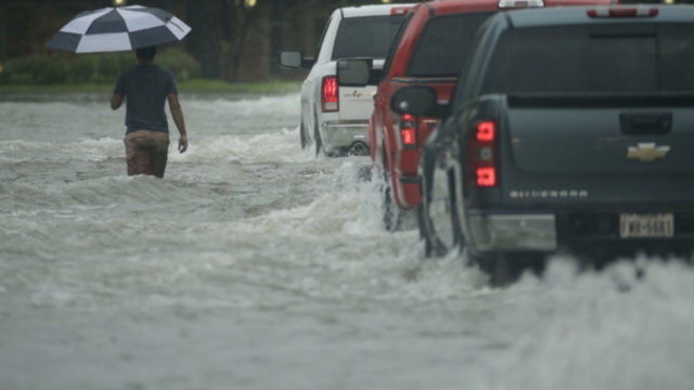 447581_harvey_10508 33e55ef8ad9f4cf4af980fc6d15a1aaf 676x520.jpg