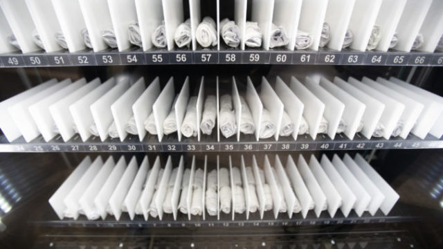 447595_img_1816 676x451.jpg