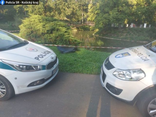 447664_118960641_2925098274256656_8605915131468292000_o 676x507.jpg