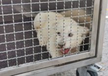 447800_germany_accident_91178 7a91285eec934812a78371a54f6e424b 676x476.jpg