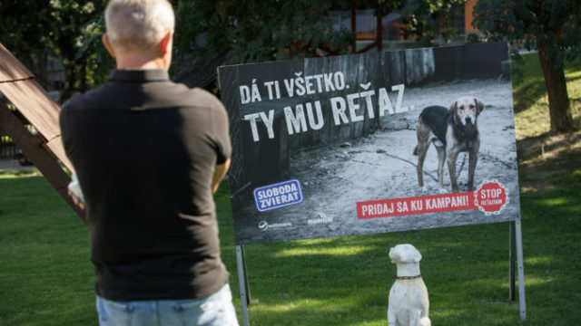 447977_img_4665 676x451.jpg