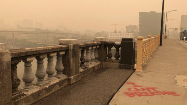 447979_western_wildfires_38367 ac5c2206b6054cfc90baae5f245e1302 676x507.jpg