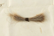 448073_abraham_lincolns_hair_auction_90464 81be3802d96c4925b92a36a8773d0d6e 676x456.jpg