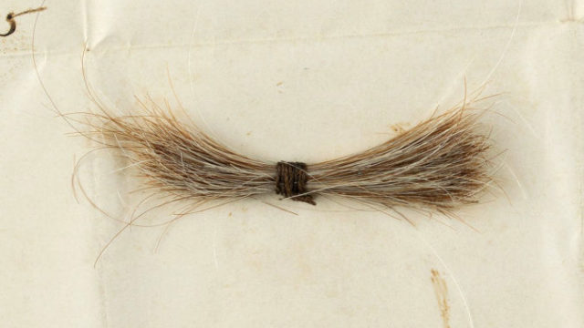 448073_abraham_lincolns_hair_auction_90464 81be3802d96c4925b92a36a8773d0d6e 676x456.jpg
