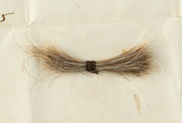 448073_abraham_lincolns_hair_auction_90464 81be3802d96c4925b92a36a8773d0d6e 676x456.jpg