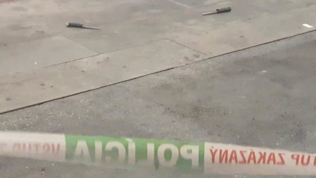 448098_119487661_1017153188707211_1886778856735553460_n 676x507.jpg