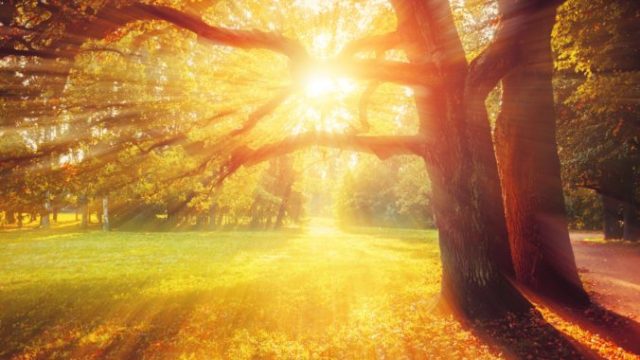 448107_jesen slnko 676x449.jpg