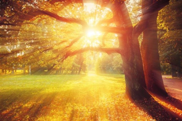 448107_jesen slnko 676x449.jpg