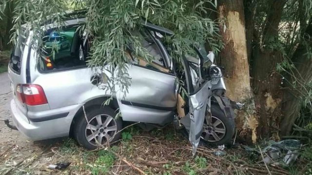 448160_119654709_2762787873836412_1400307345372316911_o 676x507.jpg