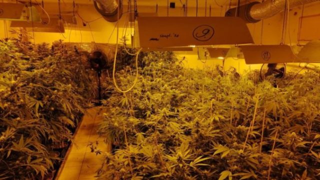 448485_119759877_3726575654039296_4270853180197038552_o 676x451.jpg