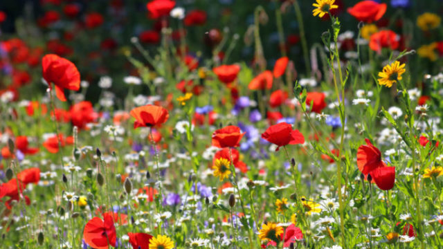 448545_gettyimages 1164806616 676x451.jpg