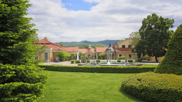 448970_img_1617 edit 676x451.jpg